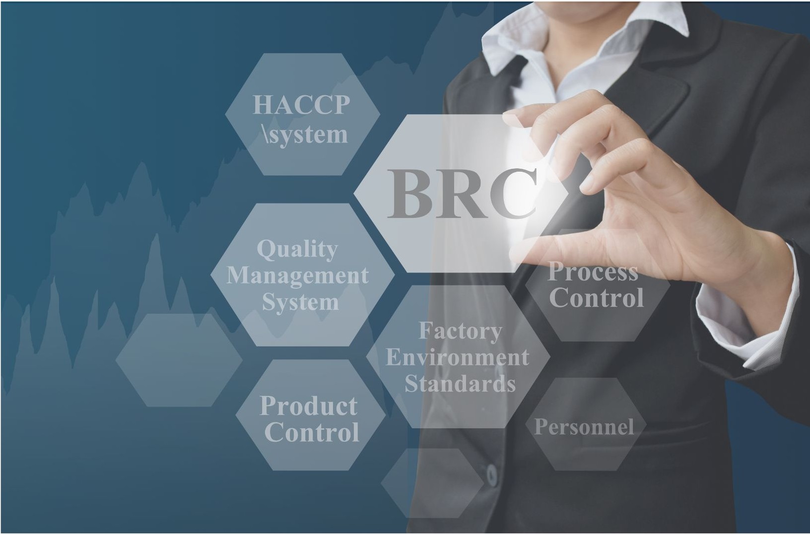 BRC Kalite YÃ¶netimi