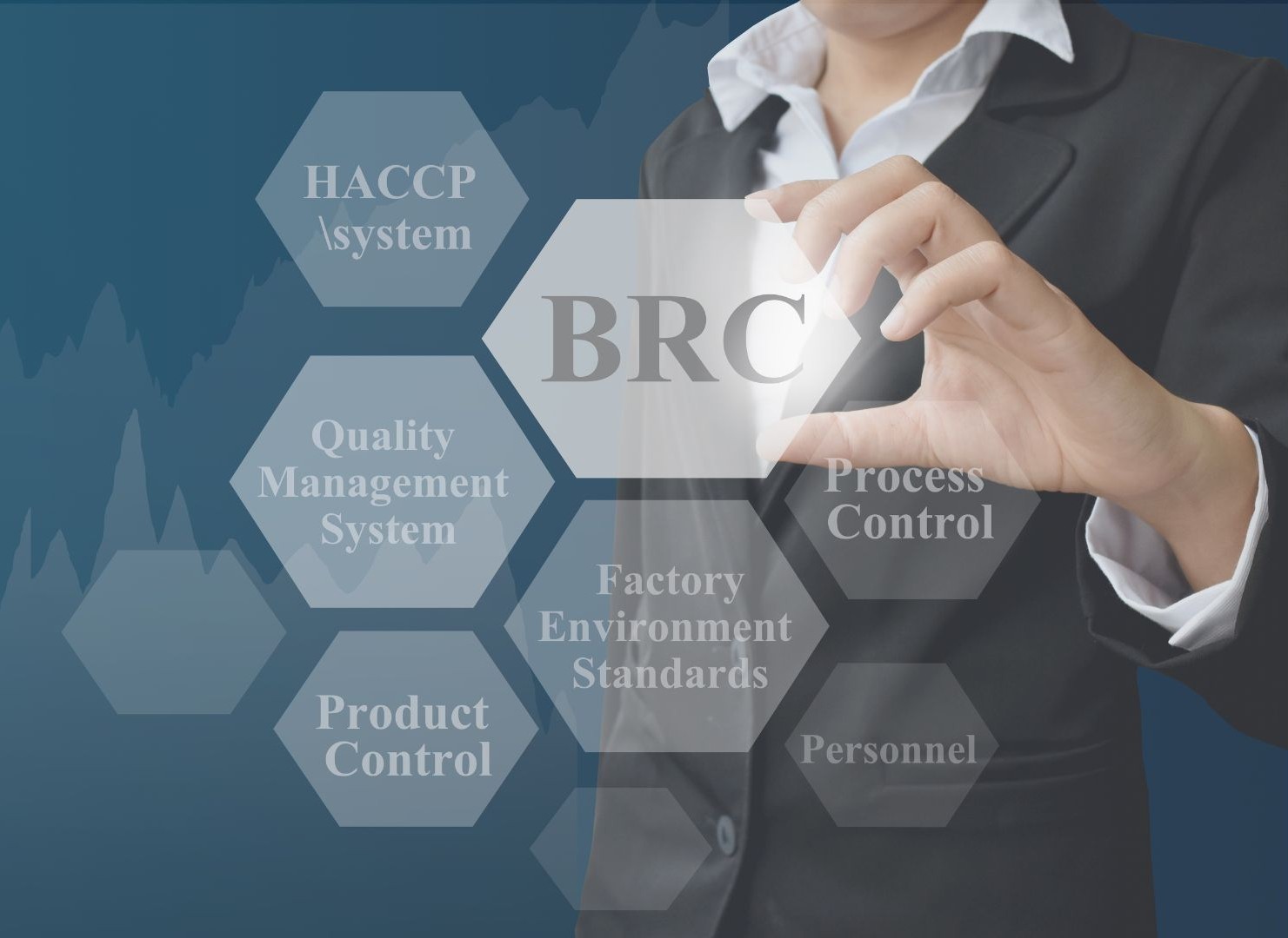 BRC Kalite YÃ¶netimi